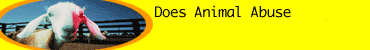peta_ad.gif (9138 bytes)